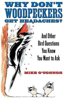 Why Don't Woodpeckers Get Headaches?