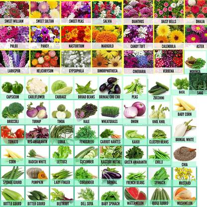 Flora Valley seeds Seed