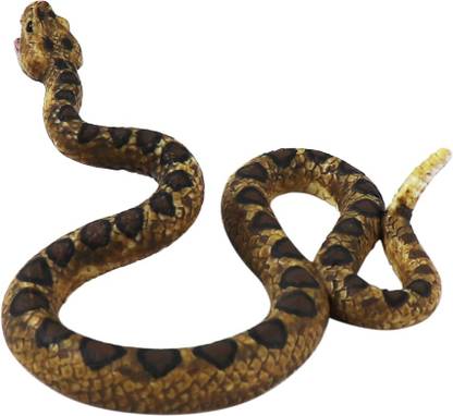 Tector Rattlesnake (387268) - By Animal Planet (Official)