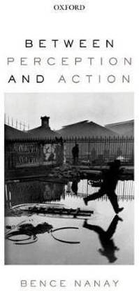 Between Perception and Action