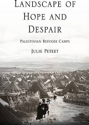 Landscape of Hope and Despair