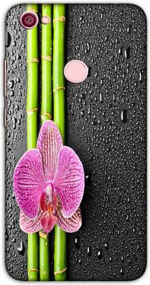 iprinto Back Cover for Mi Redmi Y1 Nature Back Cover