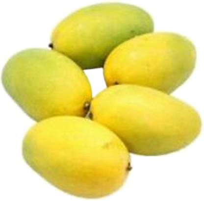 Mango Dasheri