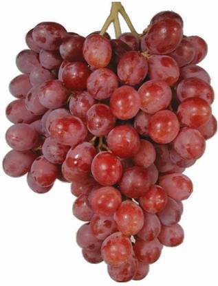 Grape Red Seedless