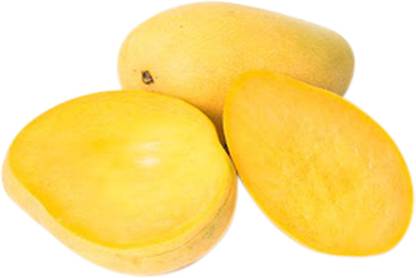 Mango Banganapalli