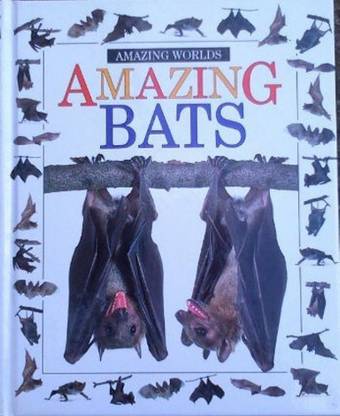 Amazing Worlds 13: Bats