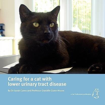 Caring for a Cat with Lower Urinary Tract Disease