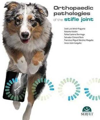 Orthopaedic pathologies of the Stifle Joint