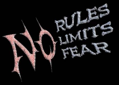 No Rule NO limit No Fear wall poster wallpaper 12 X 18 Inches Paper Print