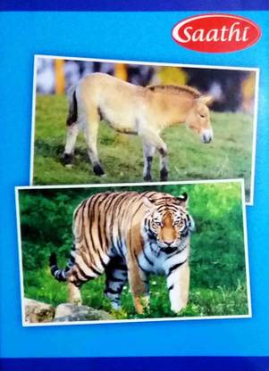 Saathi 12 A4 Notebook SINGLE LINE 164 Pages