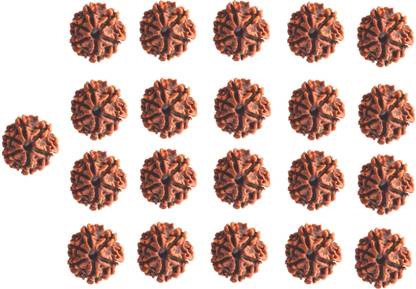भुवार 6 mukhi rudraksha 21 pcs set with hole Nepal beads शेल