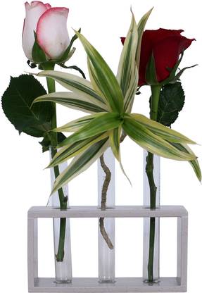 ratash.com Corian Solid Surface Hydroponic Test Tube Planter Rectangular Nut With 3 Glass Test Tube (14 CM X 5 CM X 7 CM) Plant Container Set