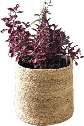 pepme Plant Container Set