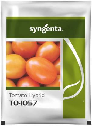 syngenta tomato-1057 Seed