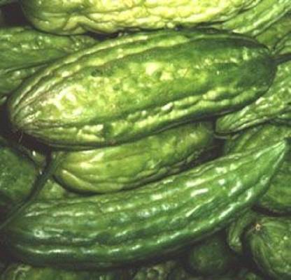 Sjeme Taiwan Large Karela seed Seed
