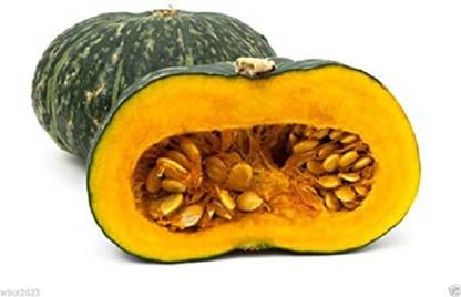 Sjeme Pumpkin Seed