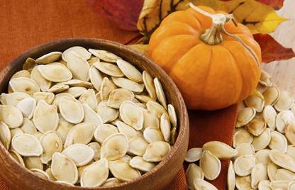 Sjeme PPH-2 Pumpkin / Kaddu Seeds- 65 Seed