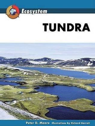 Tundra