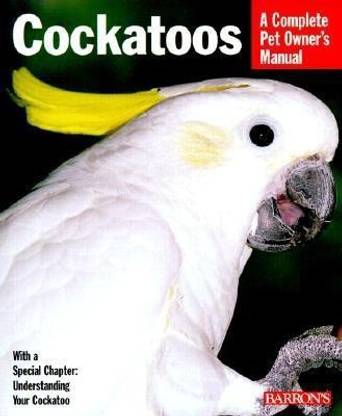 Cockatoo