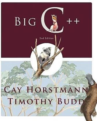Big C++