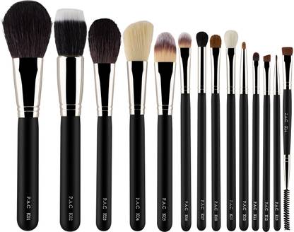 PAC Absolute Basics (14 Brushes)