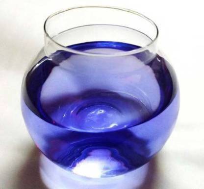 RKFancyLight 3.5 L Fish Bowl