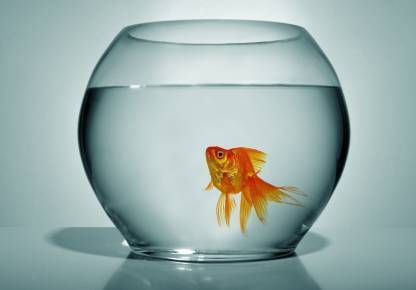 RKFancyLight 2.5 L Fish Bowl
