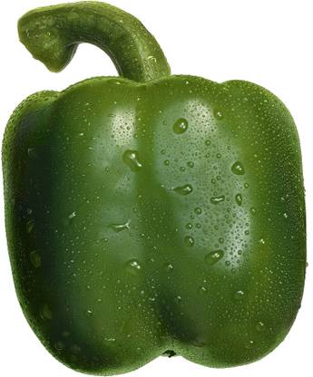 east west seed Kaveri Seed