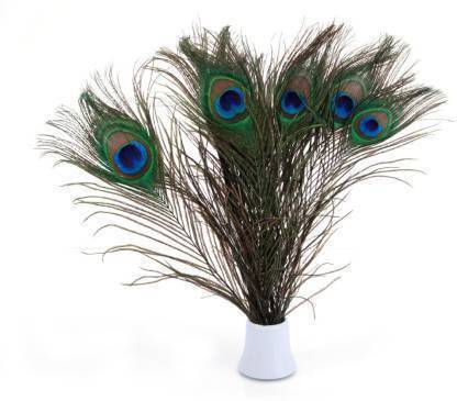 Red Crush Pack of 15 Decorative Feathers