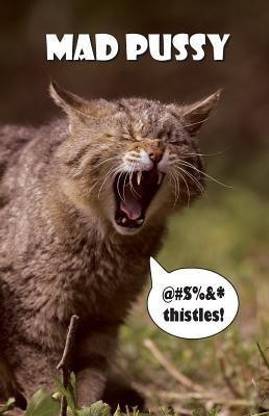 Mad Pussy