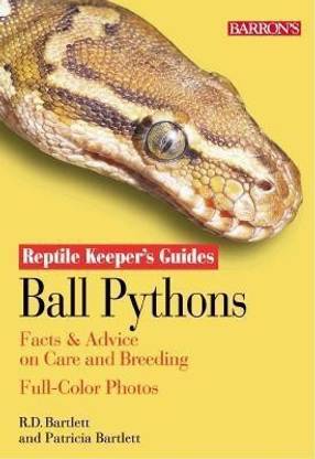 Ball Python