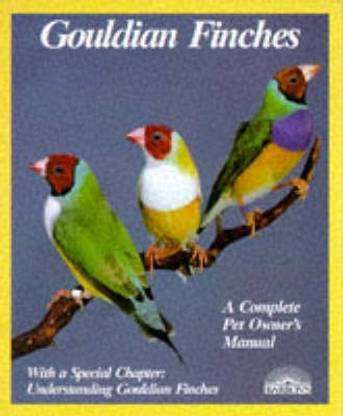 Gouldian Finches