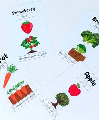 doxbox Fruits & Vegetables flashcards ( Pack of 24)