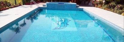 RWS Swimming Pool Filtration System Water Level Controller