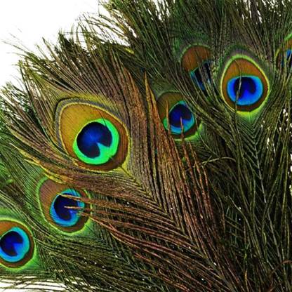 Red Crush Pack of 12 Decorative Feathers