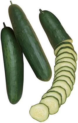 Sjeme Early Pride Cucumber Seeds- 150 Seed