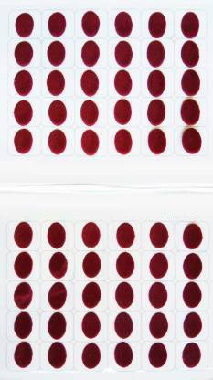 Antier LBIN0107 Forehead Maroon Bindis  (Stick On) Forehead Maroon Bindis
