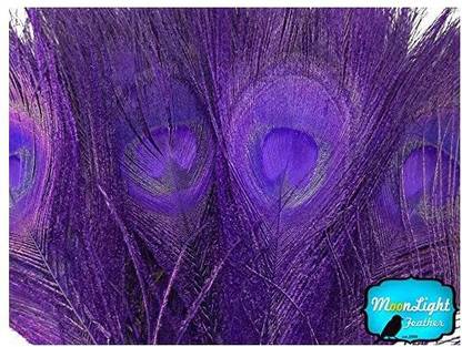 Moonlight Bleached And Dyed Peacock Tail Feathers; Eggplant Peacock Feathers; 5 Pieces Per Pack