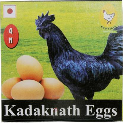 EGG FIRST Fresh Hen Brown Eggs