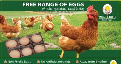 EGG FIRST Free Range Hen Brown Eggs