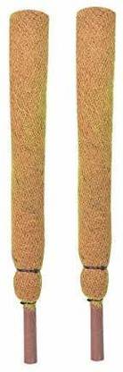 Nikhat Coco Pole 3ft(90 cm)-2pc Coir Moss Stick for Money Plant Support,Plant Garden Mulch