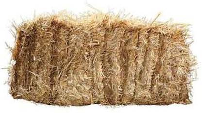A. D. Enterprise Rice Straw, Paddy Straw, Substrate for Mushroom farming Seed