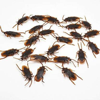 Hetkrishi Set of 25 Fake Cockroach Practical Jokes Prank Toys Gag Toy