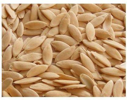Sjeme Kakdi Seed