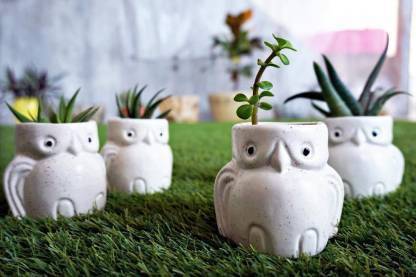 Sage Owl Shape Planter for Indoor Garden Décor White Plant Container Set