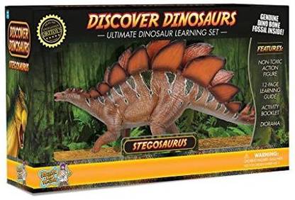 Discover Stegosaurus Action Figure Â€“ Includes Real Dinosaur Bone Fossil!
