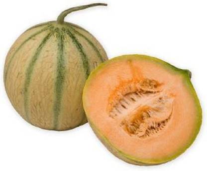 Sjeme Musk Melon Seed