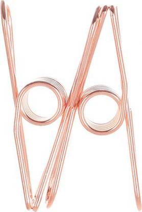 MINISO Large Electroplated Hair Clip (pack of 2) Tic Tac Clip