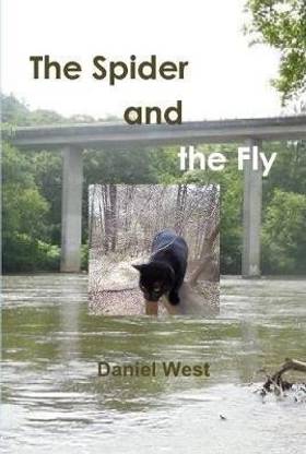 The Spider and the Fly
