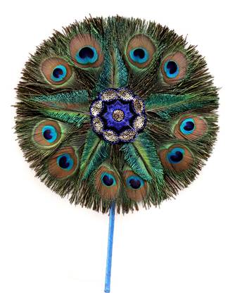 Peacock Feather Pack of 10 Decorative Feathers